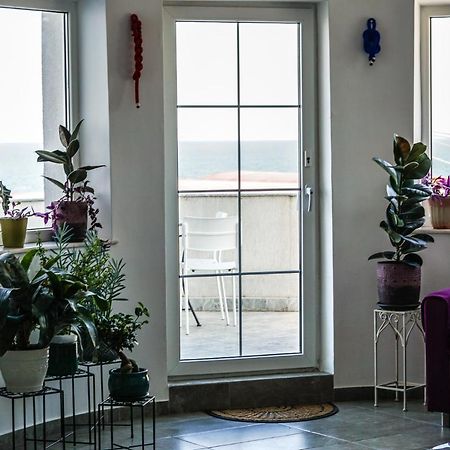 Vila Gladiola Эфорие Норд Экстерьер фото