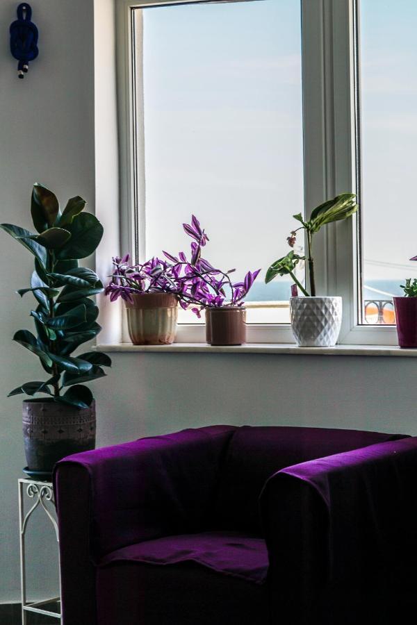 Vila Gladiola Эфорие Норд Экстерьер фото